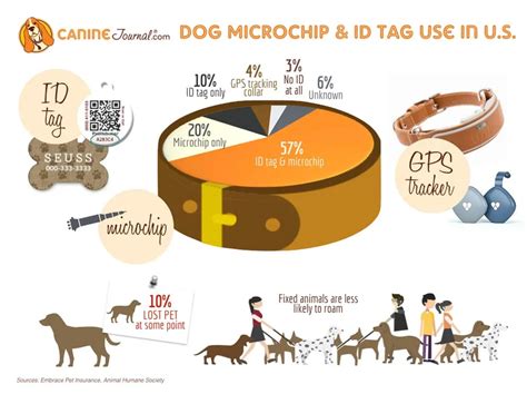 how much does a pet rfid chip cost|how much do pet microchips cost.